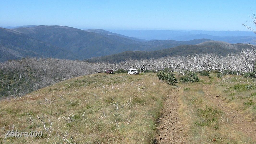 24-Rhino & Gopher make their way to the summit of Mt Pinnibar.JPG - 24-Rhino & Gopher make their way to the summit of Mt Pinnibar